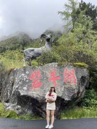 🌄 📌เที่ยวเฉิงตู “Bipenggou (毕棚沟)” 🪵🌳 🇨🇳 