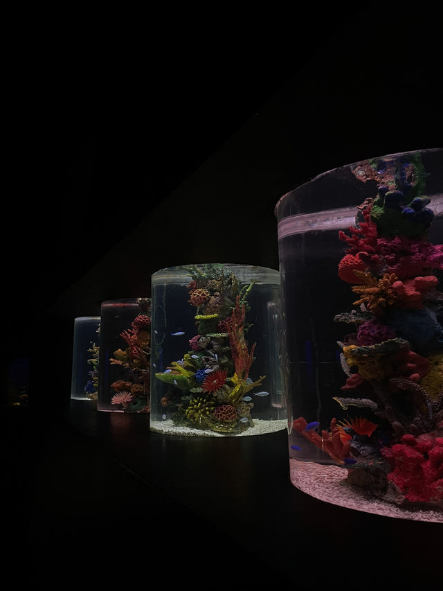 MANILA OCEAN PARK & BIODOME BLISS