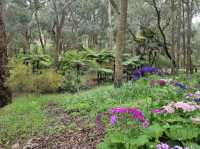 Araluen Botanic Park