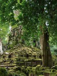 Palilai Temple, Find your own magic here!