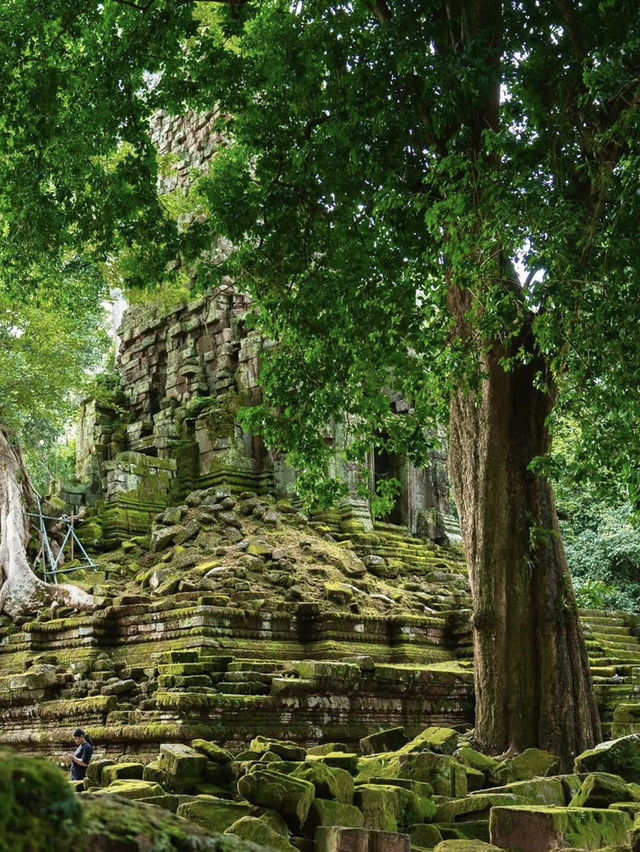 Palilai Temple, Find your own magic here!