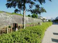 The Volcano's Shadow: My Return to Kagoshima Castle