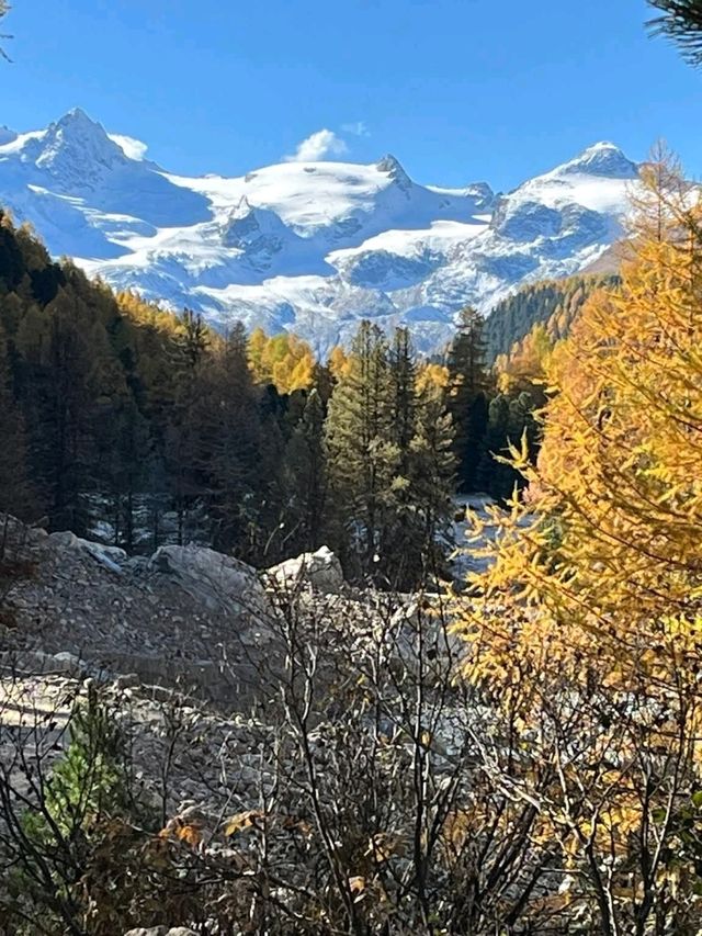 Lucerne