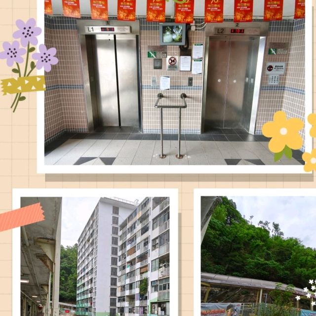 【西環邨】是我童年快樂回憶,陪我長大之好伴侶! 【西環邨】是我童年快樂回憶,陪我長大之好伴侶!