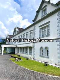 Must-Visit Marvel: The Natural History Museum Kucching
