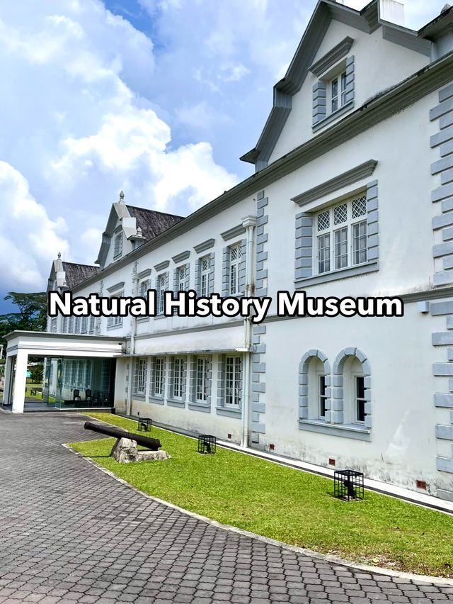 Must-Visit Marvel: The Natural History Museum Kucching