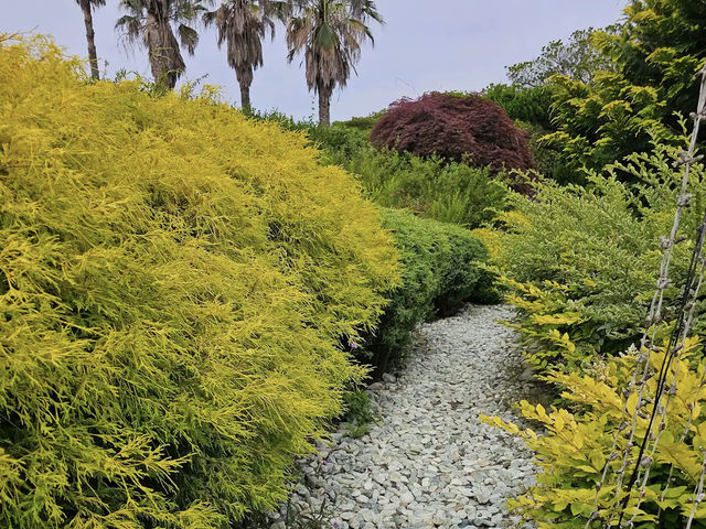 Jeju herb garden