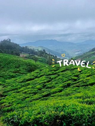 #hellohalloween
🌿 Ooty – The Queen of Hill Stations! ⛰️🌸
Nestled in the Nilgiri Hills of Tamil Nadu, Ooty is a serene paradise with rolling tea gardens 🍃, lush forests, and tranquil lakes 🌊. Explore the Botanical Garden, enjoy a scenic ride on the Nilgiri Mountain Railway 🚂, and take in the misty mountain views 🌄. Perfect for nature lovers, peace seekers, and adventure enthusiasts alike! 💚

#Ooty #NilgiriHills #HillStationEscape