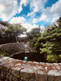 Architecture that Embraces Nature and Irregularity