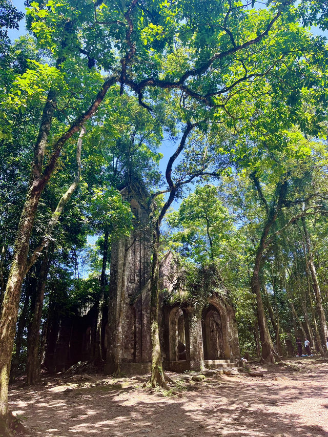 Nature Near Hanoi🌲  Ba Vi National park 🇻🇳 Nature Near Hanoi🌲  Ba Vi National park 🇻🇳
