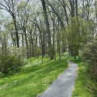 Winterthur Museum, Garden & Library