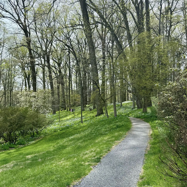 Winterthur Museum, Garden & Library