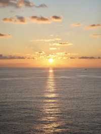 🚢海洋光譜號懶人攻略｜超實用TIPS一次睇晒！