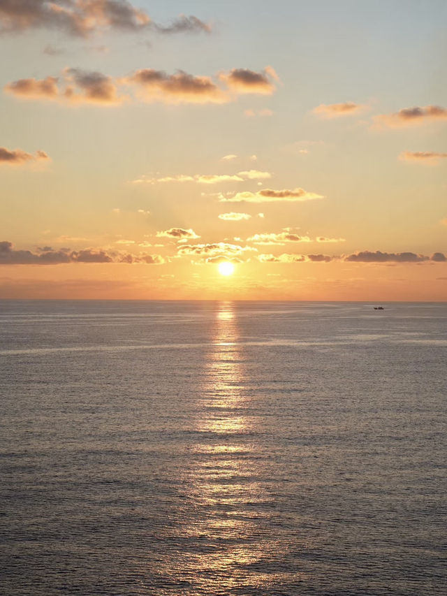 🚢海洋光譜號懶人攻略｜超實用TIPS一次睇晒！