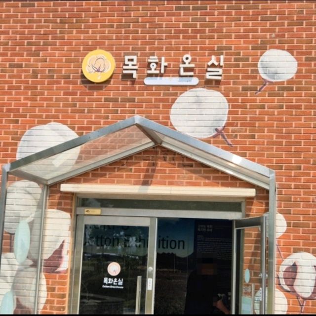 ๐ฟ ๊ณ ํ๋๋ชฉํ์ฒดํ์ฅ โ ๋ชฉํ์ ๋ฐ๋ค๊ฐ ํจ๊ปํ๋ ํ๋ง ์ฌํ ๐ฟ ๊ณ ํ๋๋ชฉํ์ฒดํ์ฅ โ ๋ชฉํ์ ๋ฐ๋ค๊ฐ ํจ๊ปํ๋ ํ๋ง ์ฌํ