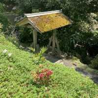 University of California Botanical Garden