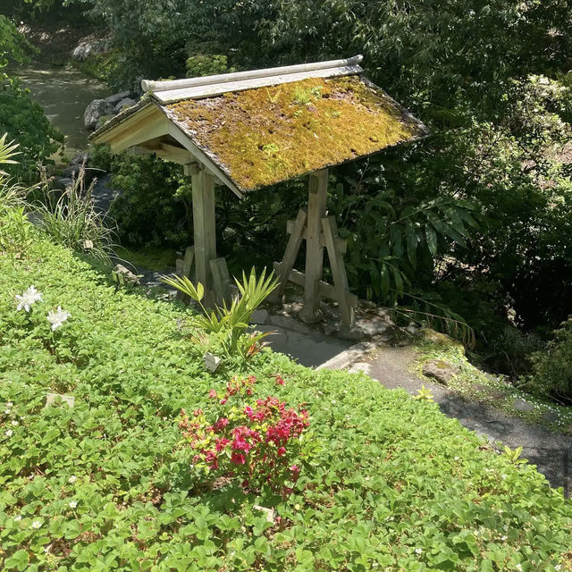 University of California Botanical Garden University of California Botanical Garden