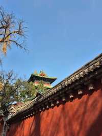 ป่าเจดีย์วัดเส้าหลิน — เงียบ งดงาม ลึกลับ