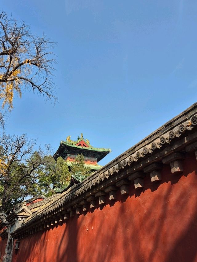 ป่าเจดีย์วัดเส้าหลิน — เงียบ งดงาม ลึกลับ