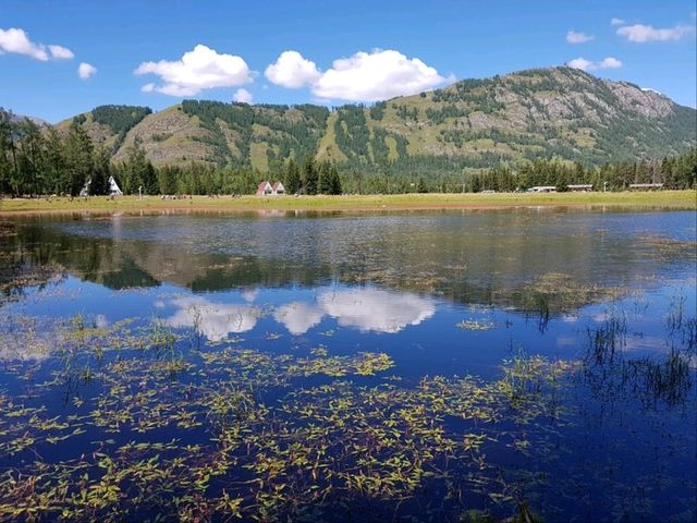 🌟 “The Timeless Blue Jewel of Xinjiang” 🌟