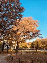 Historical Immersion and Grand Framing