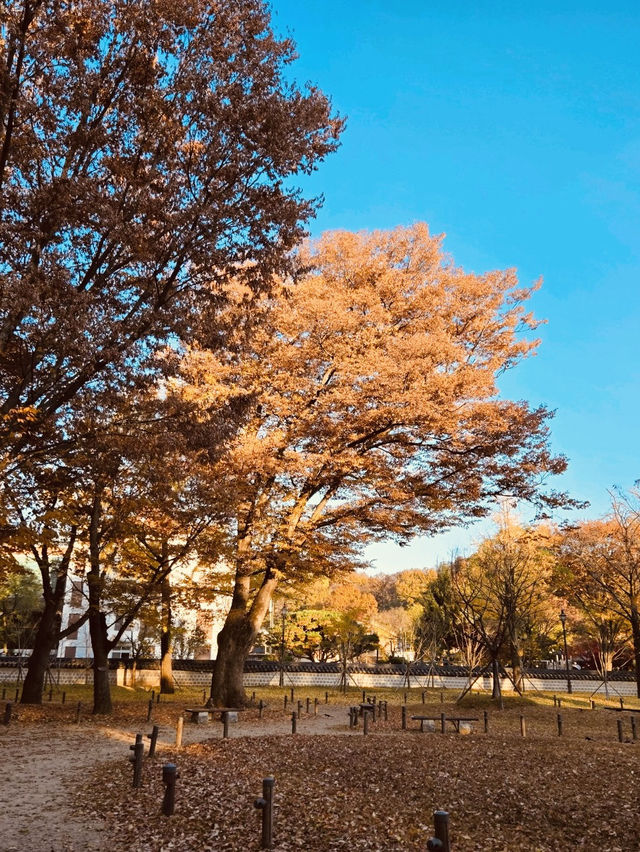 Historical Immersion and Grand Framing Historical Immersion and Grand Framing