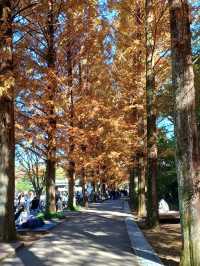 가을이면 특히 더 부드러운 분위기