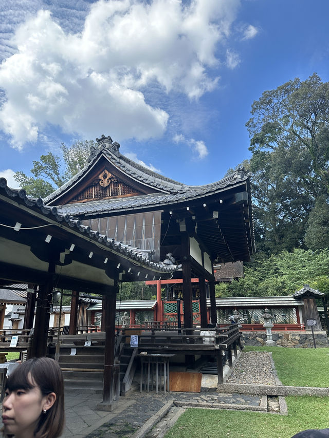 🇯🇵奈良一日遊|鹿群×古寺×人氣咖啡甜品巡禮✨ 🇯🇵奈良一日遊|鹿群×古寺×人氣咖啡甜品巡禮✨