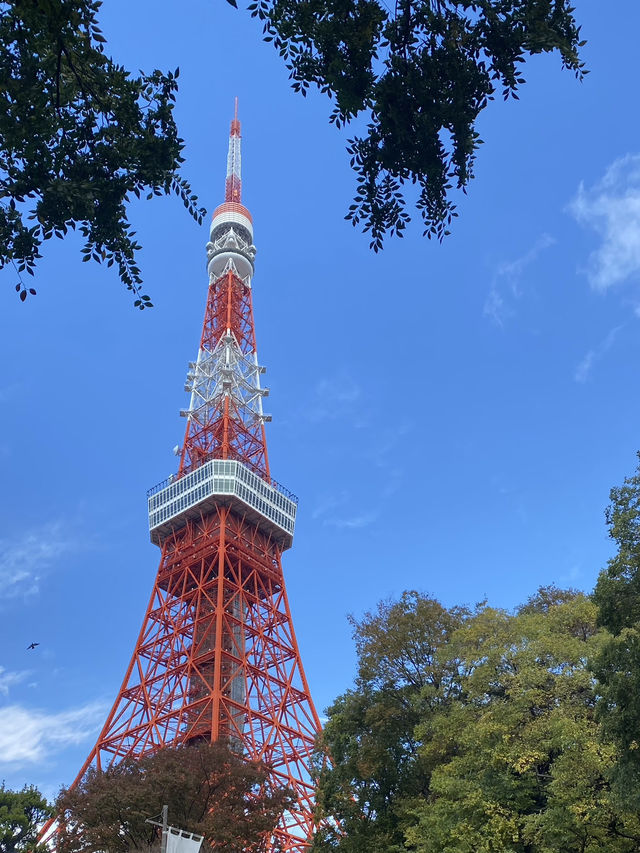 5 Spot Gratis di Tokyo yang Bikin Liburan Hemat & Seru!