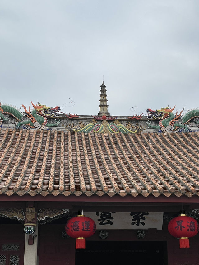 🌸 🇨🇳 泉州 🌸 🇨🇳 泉州