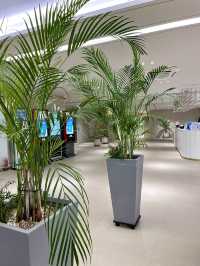 전주 에코시티 크리스마스 대형트리가 있는곳💓