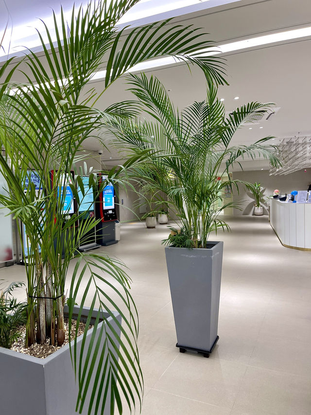 전주 에코시티 크리스마스 대형트리가 있는곳💓 전주 에코시티 크리스마스 대형트리가 있는곳💓