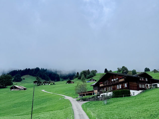 Grindelwald Dreamtrip🌞