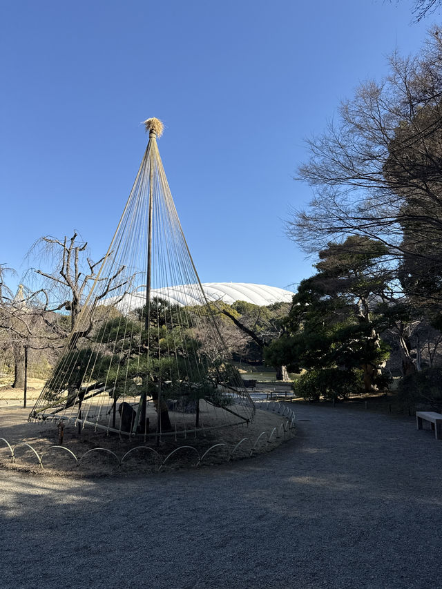 Walking Through Edo-Era Elegance in Tokyo