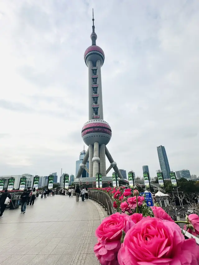 Oriental Pearl Tower X Disney Flagship 🏰