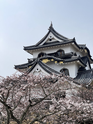 彥根城