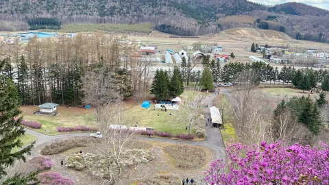 The Onneyu Azalea Festival, a vibrant springtime event, and a relaxing footbath ♨️ — traveler post in Kitami