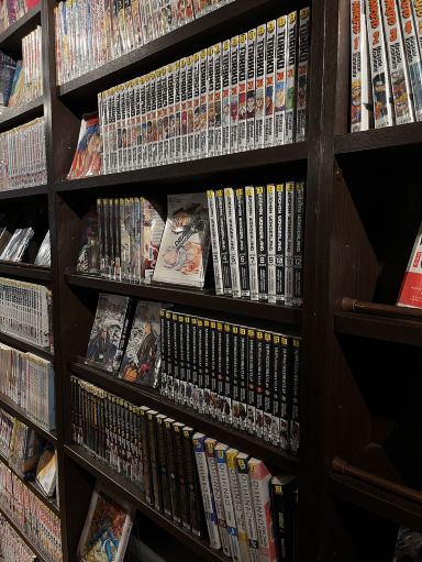 A Guide to Kyoto's Most Unusual Museum: The Manga Museum! | Trip