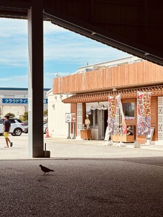 🍣 Seafood Hunting at Umanchu Market