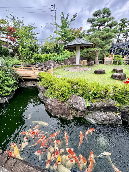 新潟】ポケふたと色鮮やかな錦鯉に出会える「錦鯉の里」 | Trip.com 小千谷