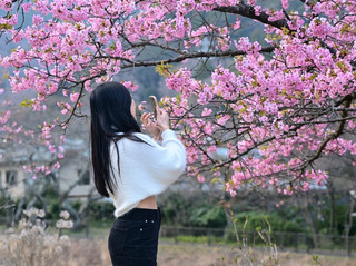 箱根のお花見は最高にチル！