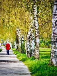 Armenia Areguni Mountains Marmarik Lake Mossy Oak Forest Traileasytravelpost #MarmarikLake #Areguni