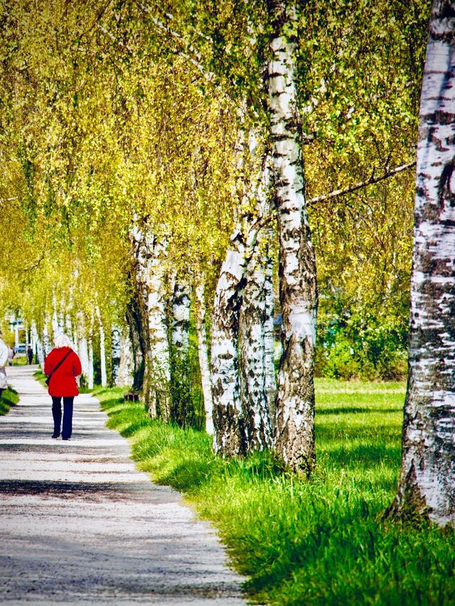 Armenia Areguni Mountains Marmarik Lake Mossy Oak Forest Traileasytravelpost #MarmarikLake #Areguni