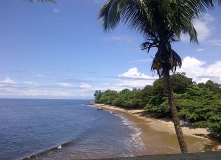 Traveling to Cameroon