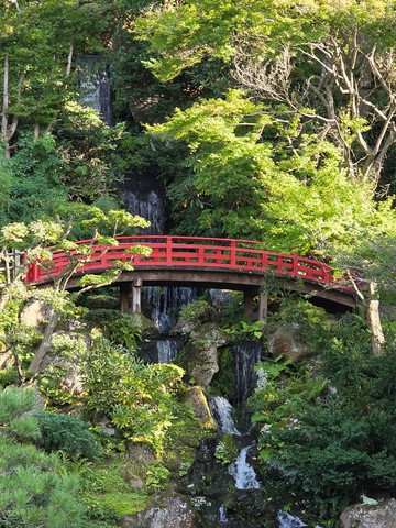 Sakura escape in Hirosaki Park | Trip.com Hirosaki