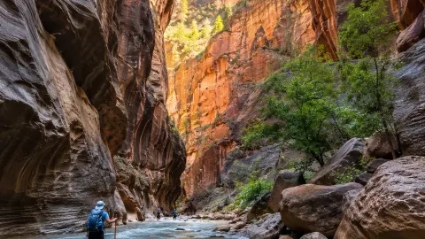 Zion National Park | The Stunning Natural Wonder of Utah. — traveler post in Hurricane