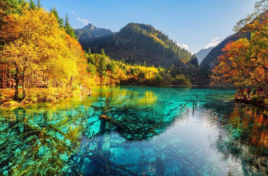 💎 Discover Jiuzhaigou: China’s Magical Valley of Colorful Lakes! 🇨🇳🏞️