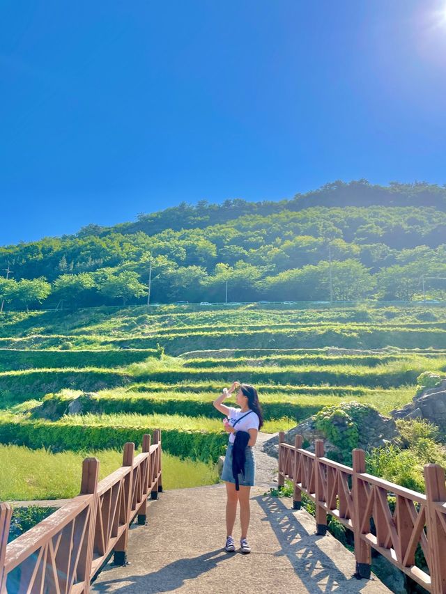 ‘그해우리는’이 생각나는 푸르른 남해의 다랭이마을🍀