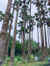 부모님과 함께하는 제주도 가족여행 코스 2탄🌴