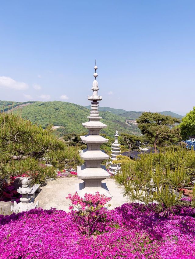 녹음짙은 공주 여행지 추천💚